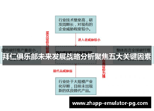 拜仁俱乐部未来发展战略分析聚焦五大关键因素