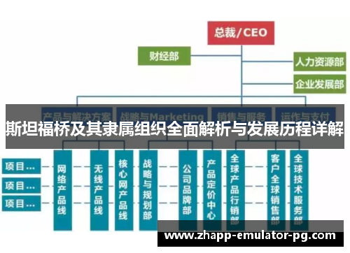 斯坦福桥及其隶属组织全面解析与发展历程详解