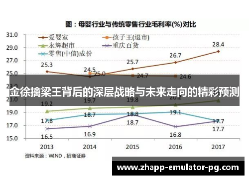 金徐擒梁王背后的深层战略与未来走向的精彩预测