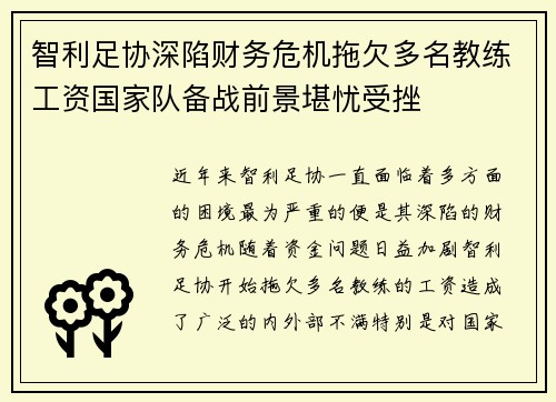 智利足协深陷财务危机拖欠多名教练工资国家队备战前景堪忧受挫