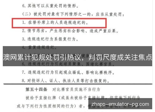 澳网累计犯规处罚引热议，判罚尺度成关注焦点