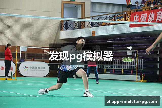 发现pg模拟器